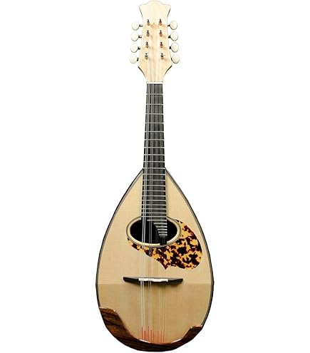 Amazon.co.jp: Suzuki Mandolin M-30 : Musical Instruments
